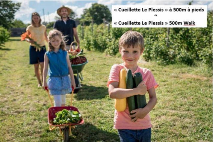 Appartement A 5 Min De Disney Proche Paris シャントルー・アン・ブリ エクステリア 写真